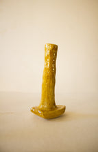 Carregar imagem no visualizador da galeria, cupressus Lusitanica