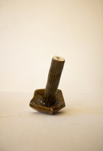 Carregar imagem no visualizador da galeria, cupressus Lusitanica