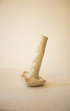 Carregar imagem no visualizador da galeria, cupressus Lusitanica