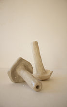 Carregar imagem no visualizador da galeria, cupressus Lusitanica