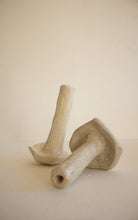 Carregar imagem no visualizador da galeria, cupressus Lusitanica